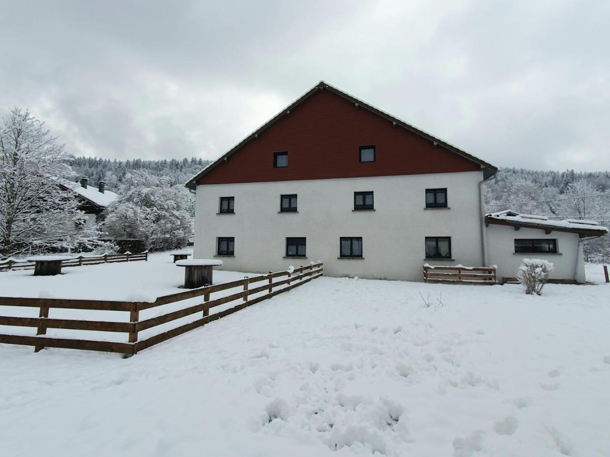 Appart Le Cerf 4 Etoiles 74M2 Cornimont Exteriör bild